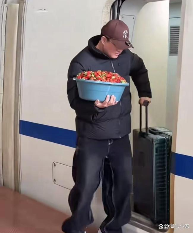 演员张磊高铁上捧一大盆草莓畅吃 春运里的“反精致”人设