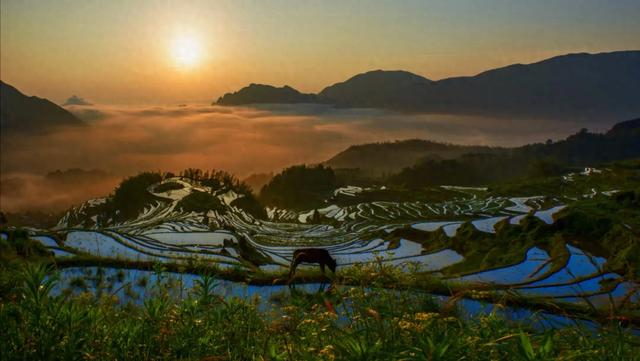 全国典型案例，云和梯田“三生融合”模式入选