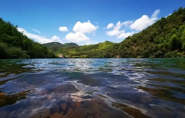 世界典型案例，云和梯田“三生会通”花式入选