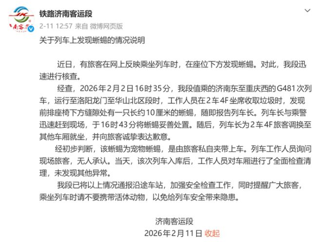 高铁上现狗和蜥蜴 人宠同乘能否实现 车厢内出现动物引发关注