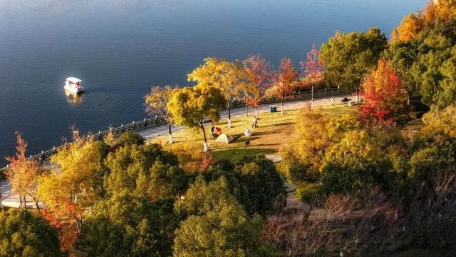 浙江两地入选全国试点,为期3年!推动“电影+”消费新模式