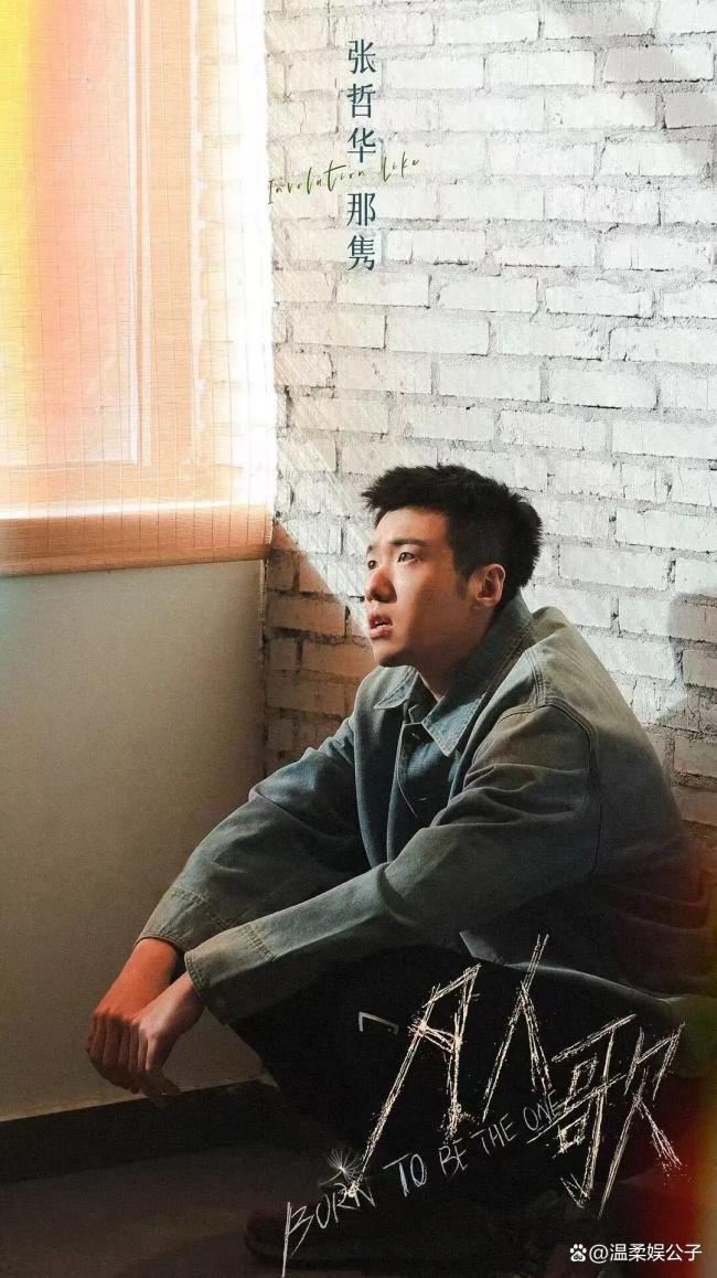 张哲华二搭给胡歌杨紫齐安排好了 演技获招供