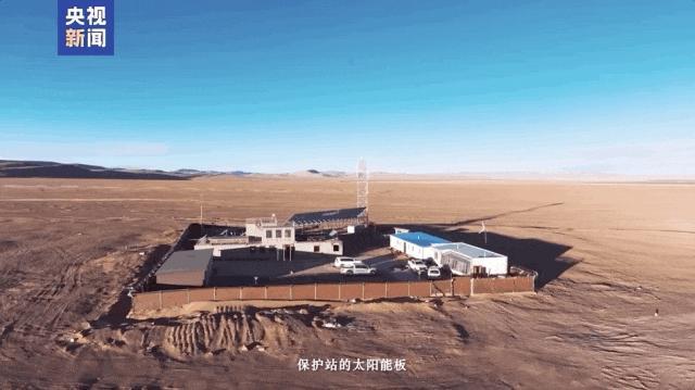 现实版《生命树》与可可西里的告慰 英雄后代接力守护