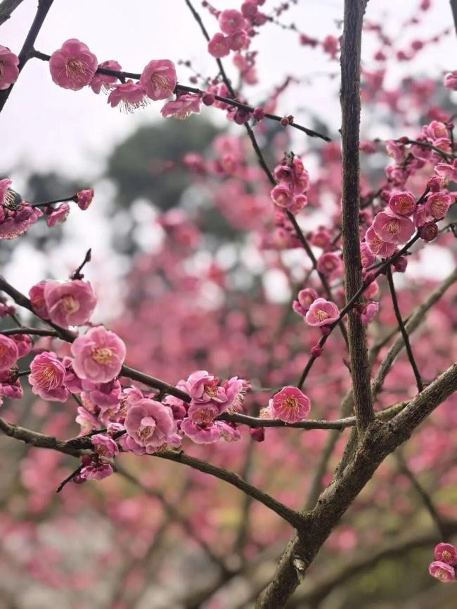 学者：好意思元弱不即是东说念主民币必须一直涨