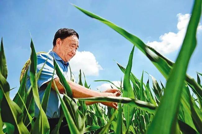 春晚观众席原来都是熟面孔 星光熠熠劳动者