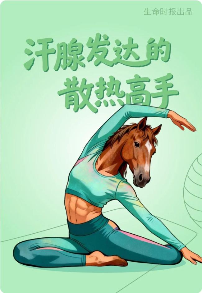 马年第一件正经事:跟“马”学养生 作念我方的健康骑士