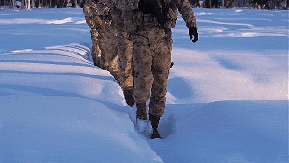 父母包的饺子跨越2700公里送儿子 家的味道最治愈