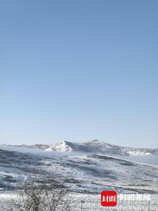 你在影院见“格林” 我在若尔盖护狼群 重映引发观影热潮
