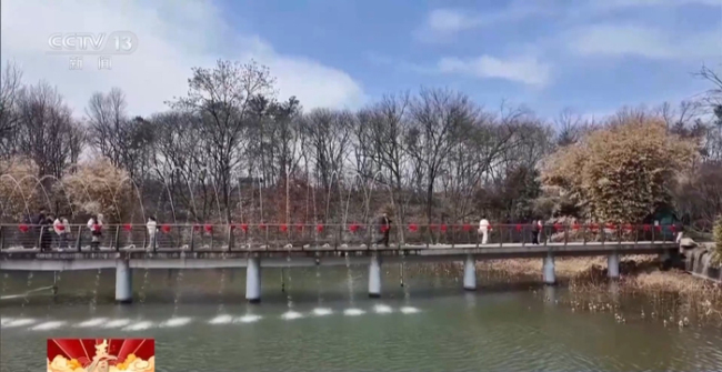 “年俗文化+科技”各地举办特色活动感受别样年味