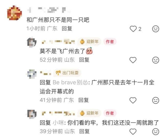 濟(jì)南巨型空飄鰲魚(yú)被風(fēng)吹走 全網(wǎng)幫找 全城抬頭尋蹤跡