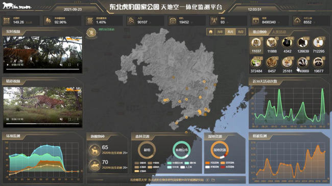 探秘东北虎豹国家公园 虎豹种群稳步增长