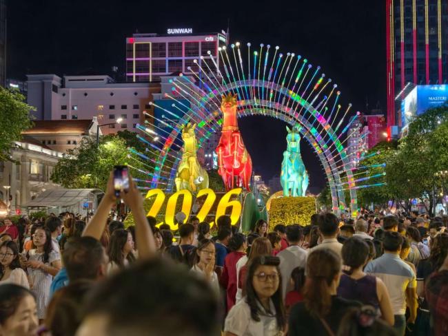 越南“特斯拉”背后，这些中国上市公司在供货