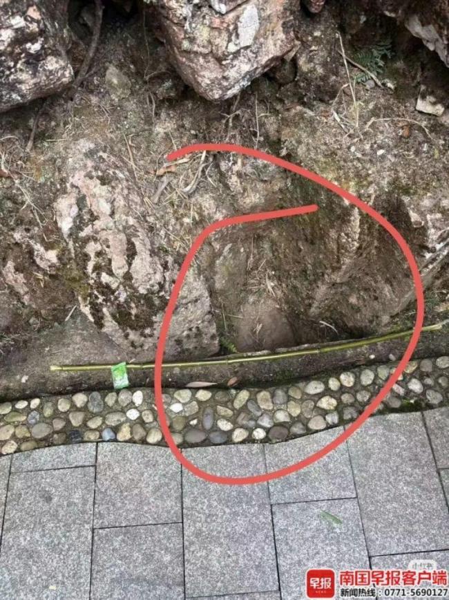 官方通报10岁男孩景区游玩时坠崖 安全隐患引质疑