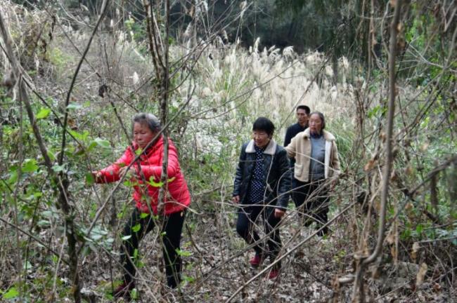 68岁老人离家走失8天吃树叶生还 村民合力搜救成功