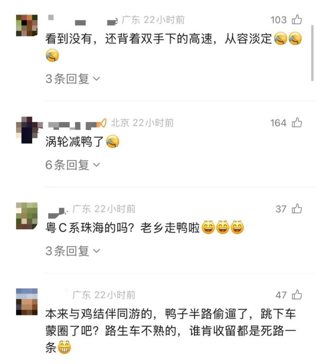 高速路上活鸭子掉落 车主提醒熬久点 天降烤鸭引发热议