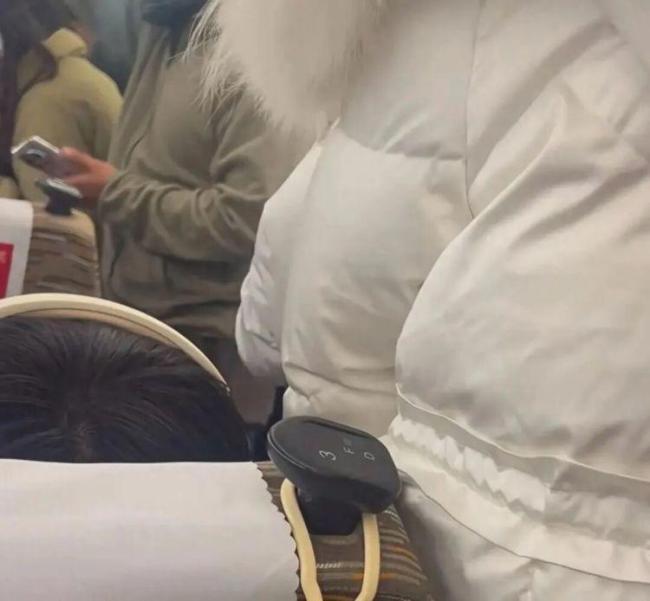 列车因超员滞留半小时,12306回应 买短乘长引热议