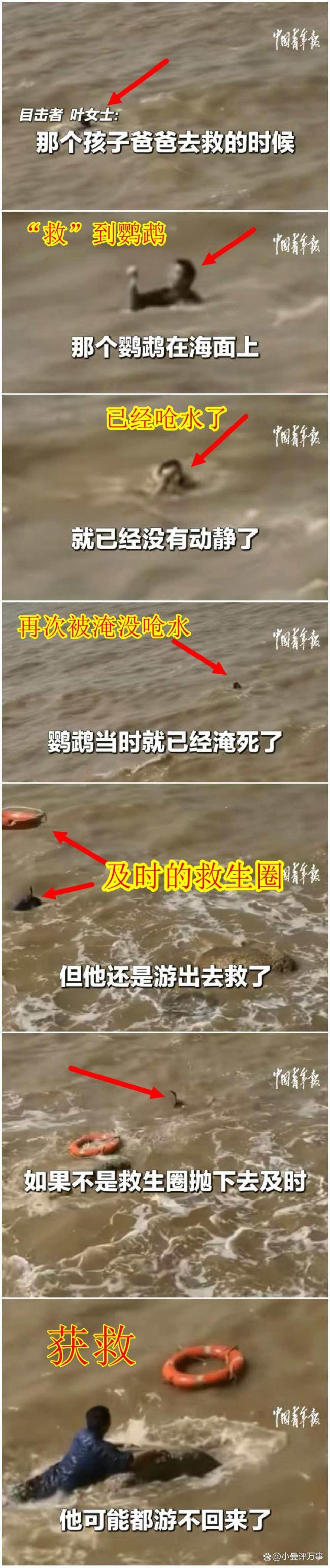 男子下海救鹦鹉险些遇险