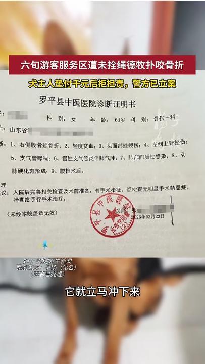 警方介入游客服务区内被德牧犬咬伤 犬主态度骤变拒担责