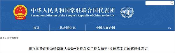 联大通过“支持乌克兰持久和平”决议