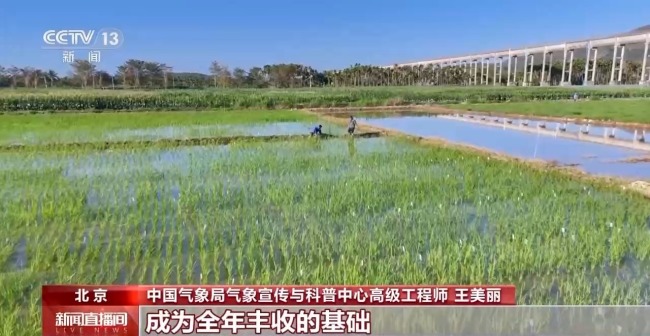 雨水时节，降雪减少降雨增多，哪里的降雨增加最明显？