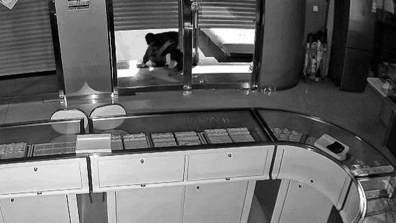 金店1000余件3055克黄金首饰被盗 警方10小时全量追回