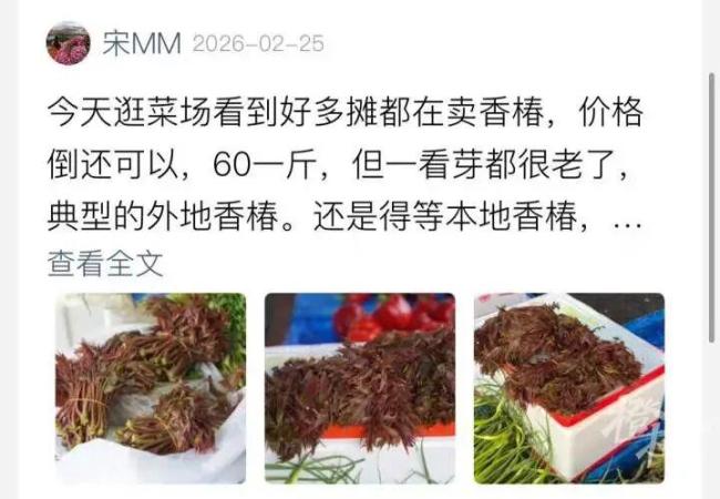 香椿价格腰斩 湖北人迫不及待下单 春天的味道