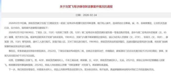 河南打人夫妇被批捕 寻衅滋事罪成立