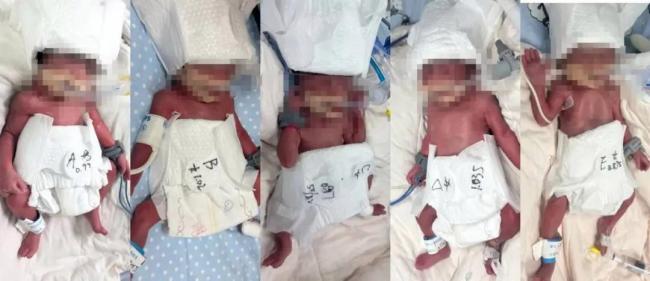 女子回应自然受孕产下5胞胎 生命奇迹平安诞生