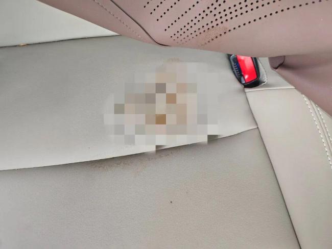 车主遇乘客排泄失联获519元补偿