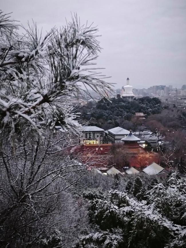 马年初雪喜降京城 网友纷纷晒出雪景照