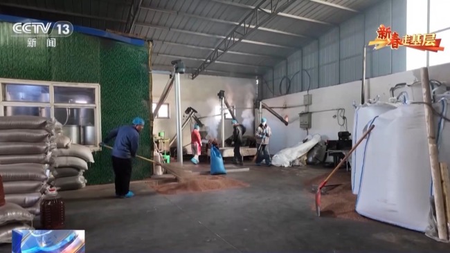 山海协作30年!闽宁镇的年味里,藏着幸福密码