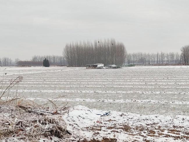 马年初雪喜降京城 网友纷纷晒出雪景照