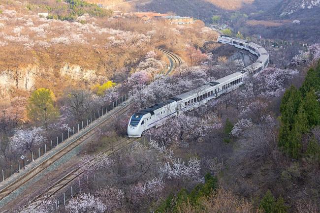 一趟列车24站解锁200多家景区 流动的地理艺术品