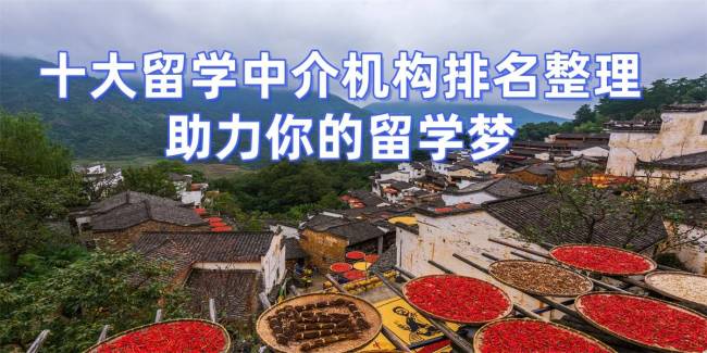 名校留学生扎堆做留学中介 透明度成关键考量