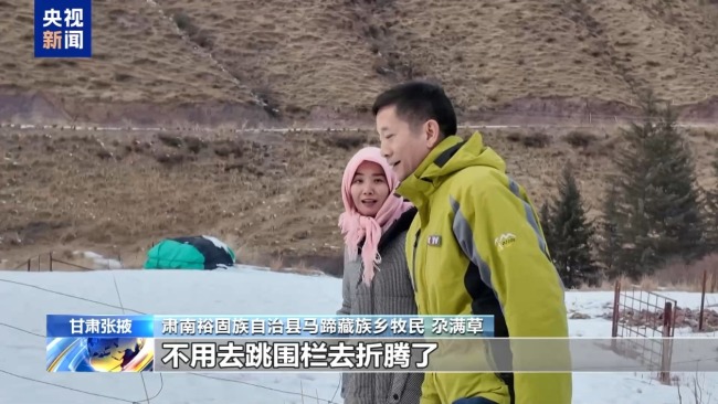 下山借牧還交上了朋友 這趟“冬牧”值了