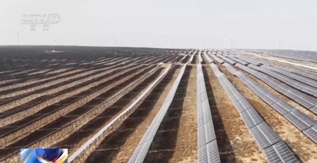 我国单体最大采煤沉陷区光伏基地投运