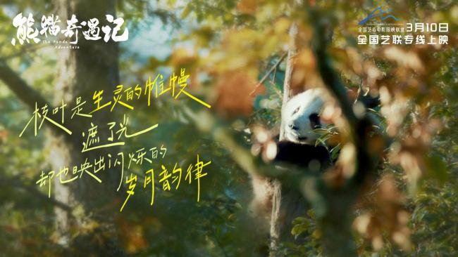 电影《熊猫奇遇记》定档3月10日 全生命周期的熊猫故事