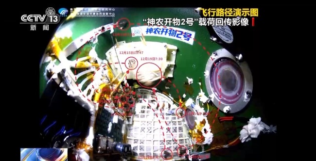 我国天际生物考验获取新阐扬 蝴蝶告捷破蛹展翅