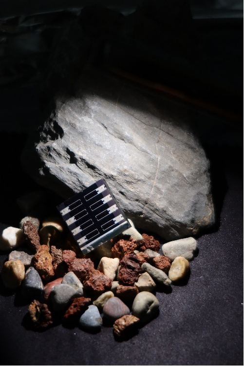 新突破!我国科技发展再添新成果 锂电池与太空生物齐头并进