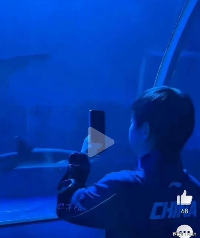 王楚钦观赏鲨鱼 与孙颖莎共拍宣传照