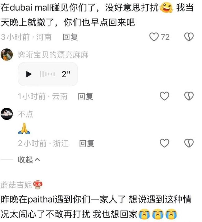 弦子报平安 战火中的惊魂一夜