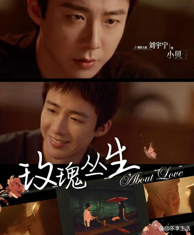 小贝求婚失败 真诚难敌过往创伤