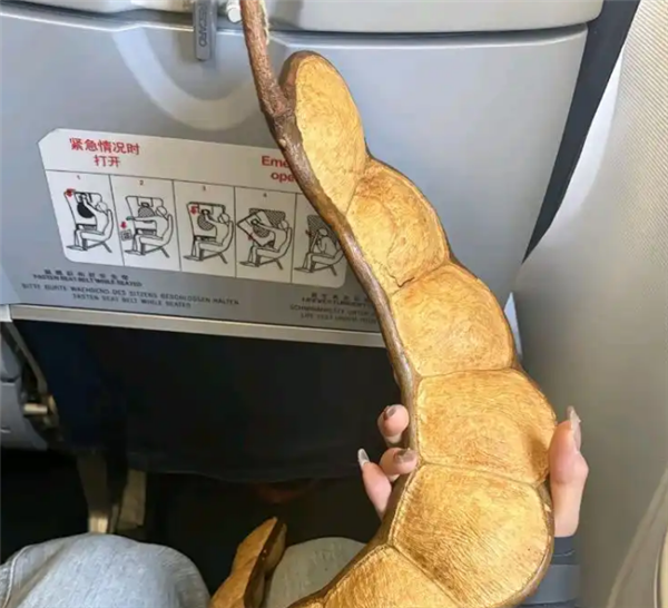 商家回应巨型豆荚卖968元