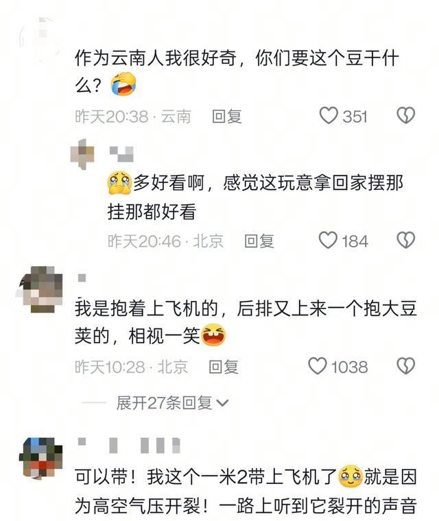 女子带巨大豆荚坐飞机引围观 梦中情豆走红网络