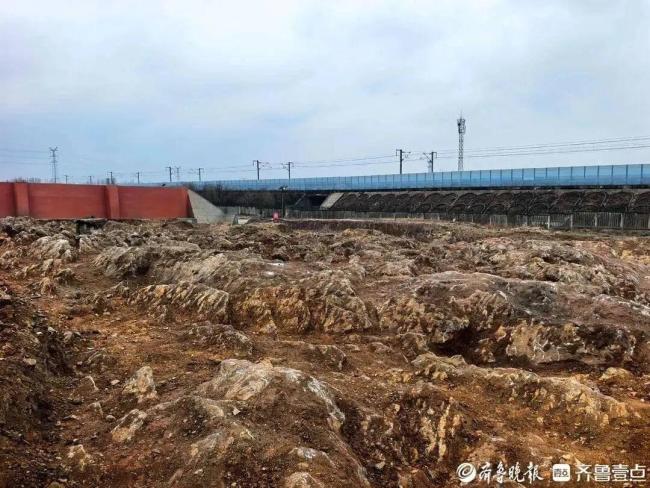 山东修高铁站挖出5亿年前石海 远古奇观引关注