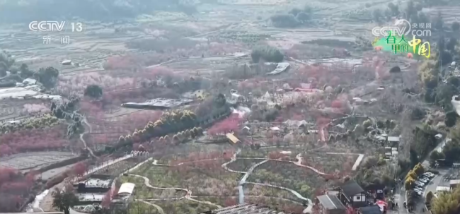去踏青，春意正濃！“春日經(jīng)濟”蓬勃綻放