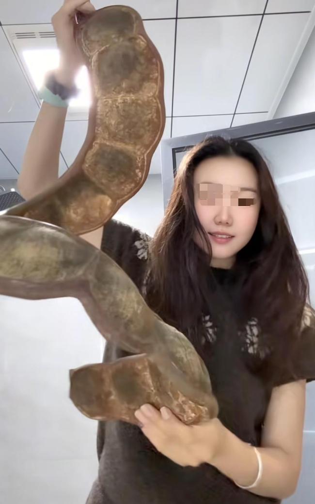 女子带1米长巨大豆荚坐飞机 梦中情豆走红网络