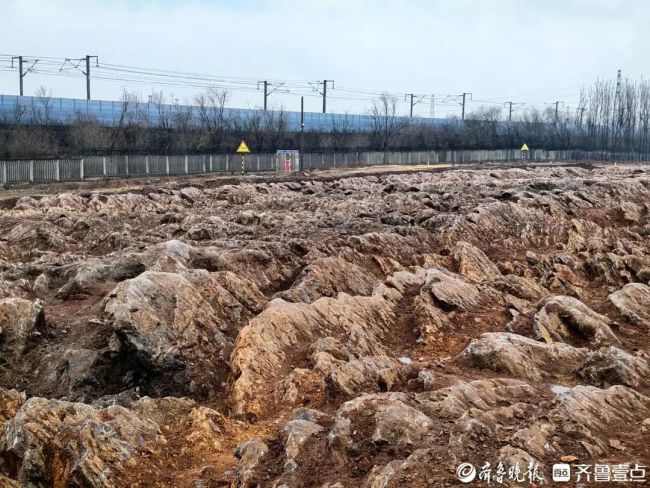 山东修高铁站挖出约5亿年前石海 远古奇观现世