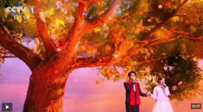 当《贺花神》的风吹到元宵晚会 中式美学再续浪漫