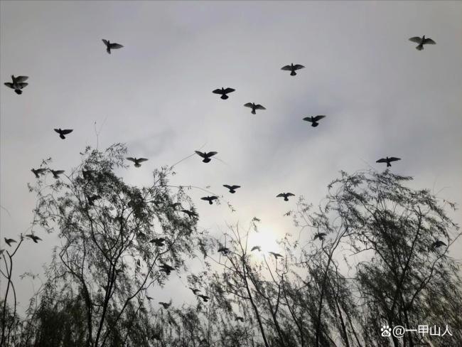 今天是惊蛰与天赦日罕见重合的吉日 阳气强旺万物生
